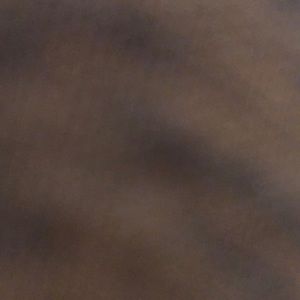 Meet your Posher, Lani